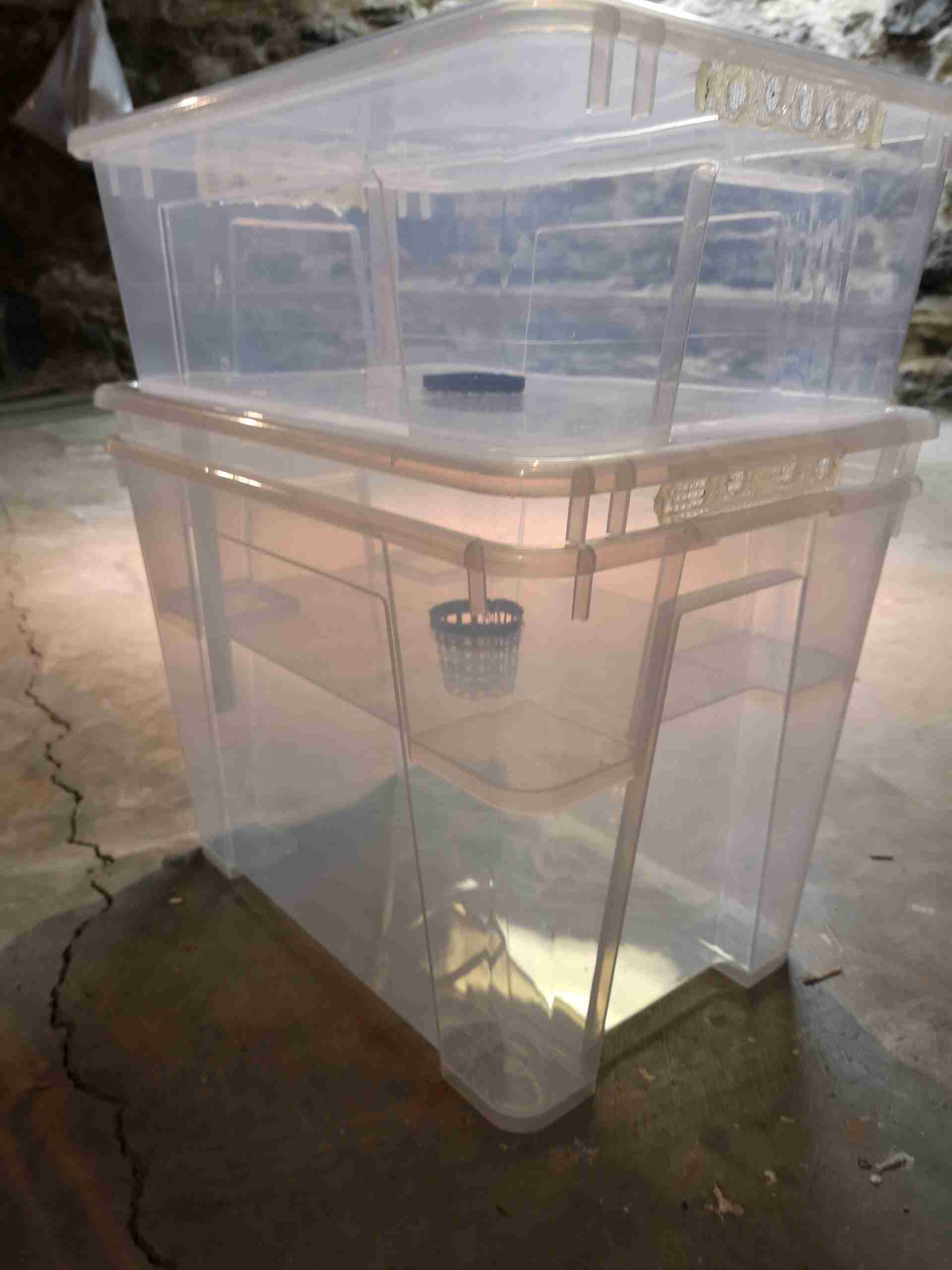 DIY Worm Farm Bin for Microfishing Bait Worms The Art of Micro Fishing